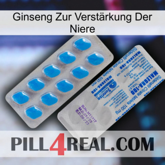 Ginseng Zur Verstärkung Der Niere new15